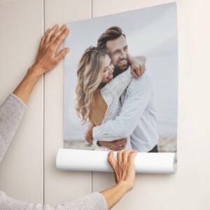 Posters & Art Prints